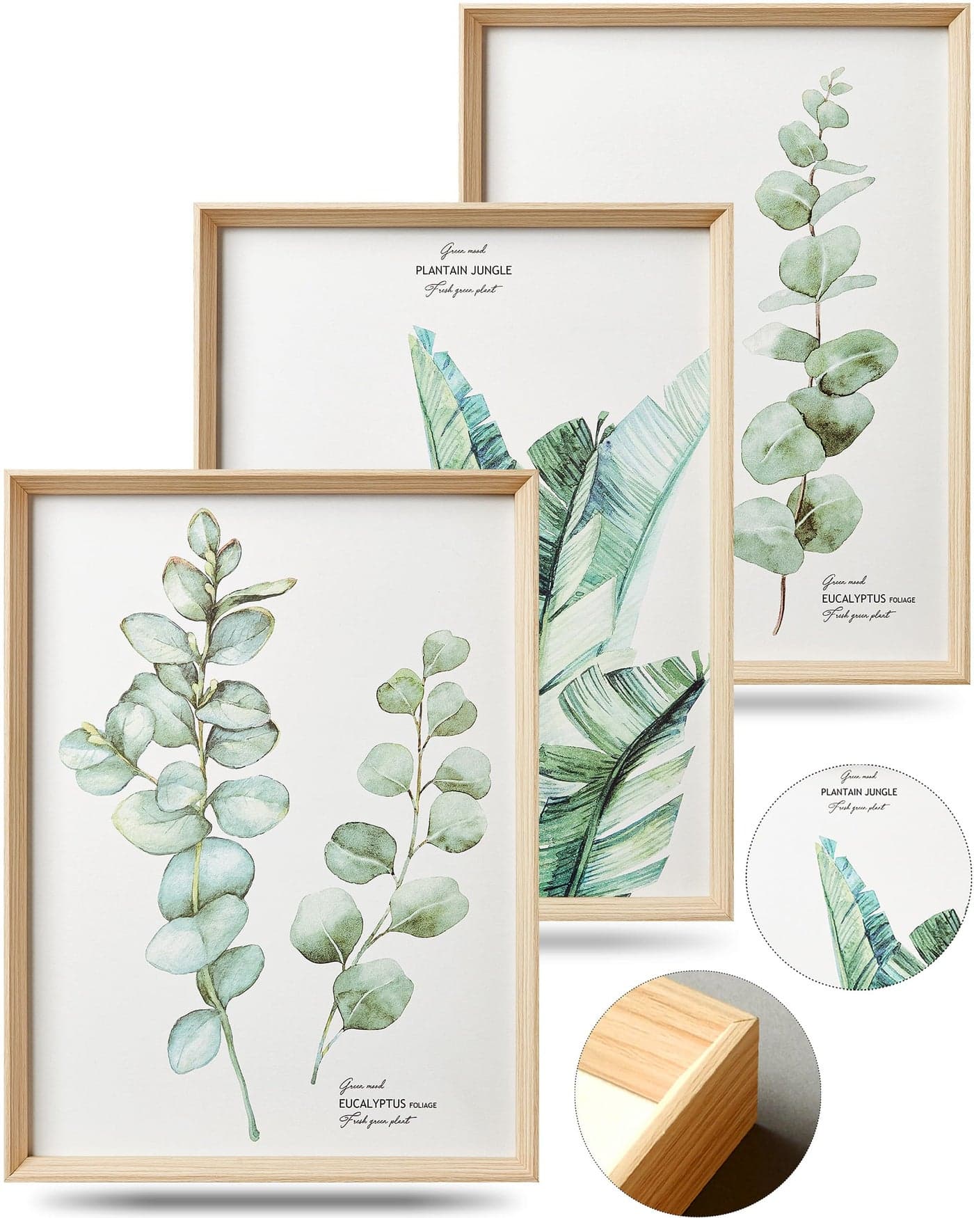 HesenDot Framed Wall Art,Minimalist Botanical Canvas Wall Art for Living Room,12x16in Plant Wood High-Framed Design Flower Green Eucalyptus Leaf Artworks Prints Poster for Bathroom,Bedroom Set of 3