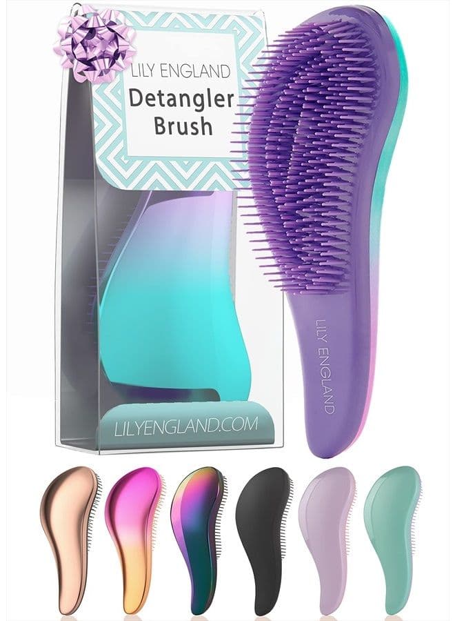 Detangling Brush for Curly Hair, Straight, Dry & Wet Hair - Brush for Thick Hair, Fine, Wavy, Black Natural Hair - Hair Detangler Brush for Kids, Women, Toddlers - Vegan Detangle Brush by Lily England