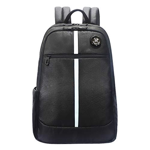Arctic Fox 27 Liters Chrome Black 15 Inch Laptop Backpack