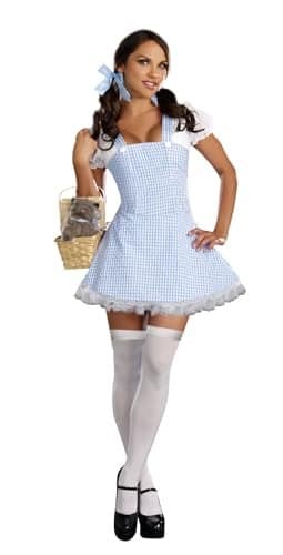 Dreamgirl Gingham Dress, Light Blue, Small