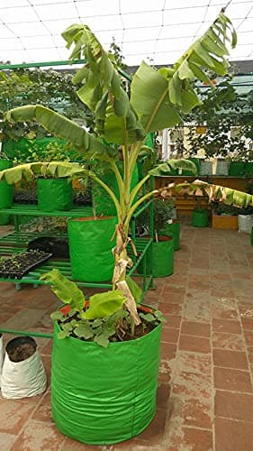 YUVAGREEN Terrace Gardening Leafy Vegetable HDPE Green with Orange UV Treated Grow Bags 18" Dia x 18" Height, Pack of 4