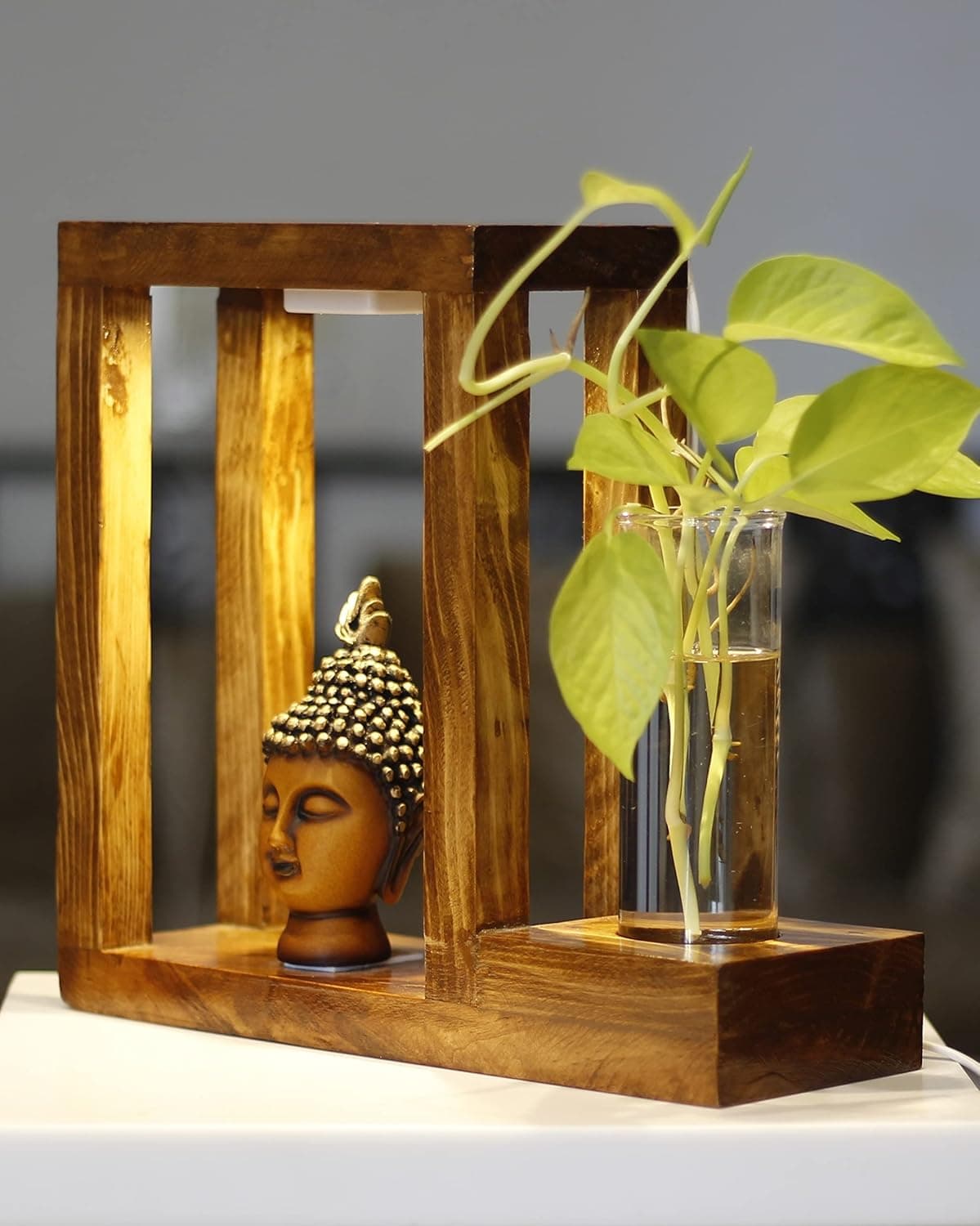 Planting Chemistry Wooden Planter and a Lamp with Lord Buddha Face Showpiece Living Room Table Decor Decoration Home Office Housewarming