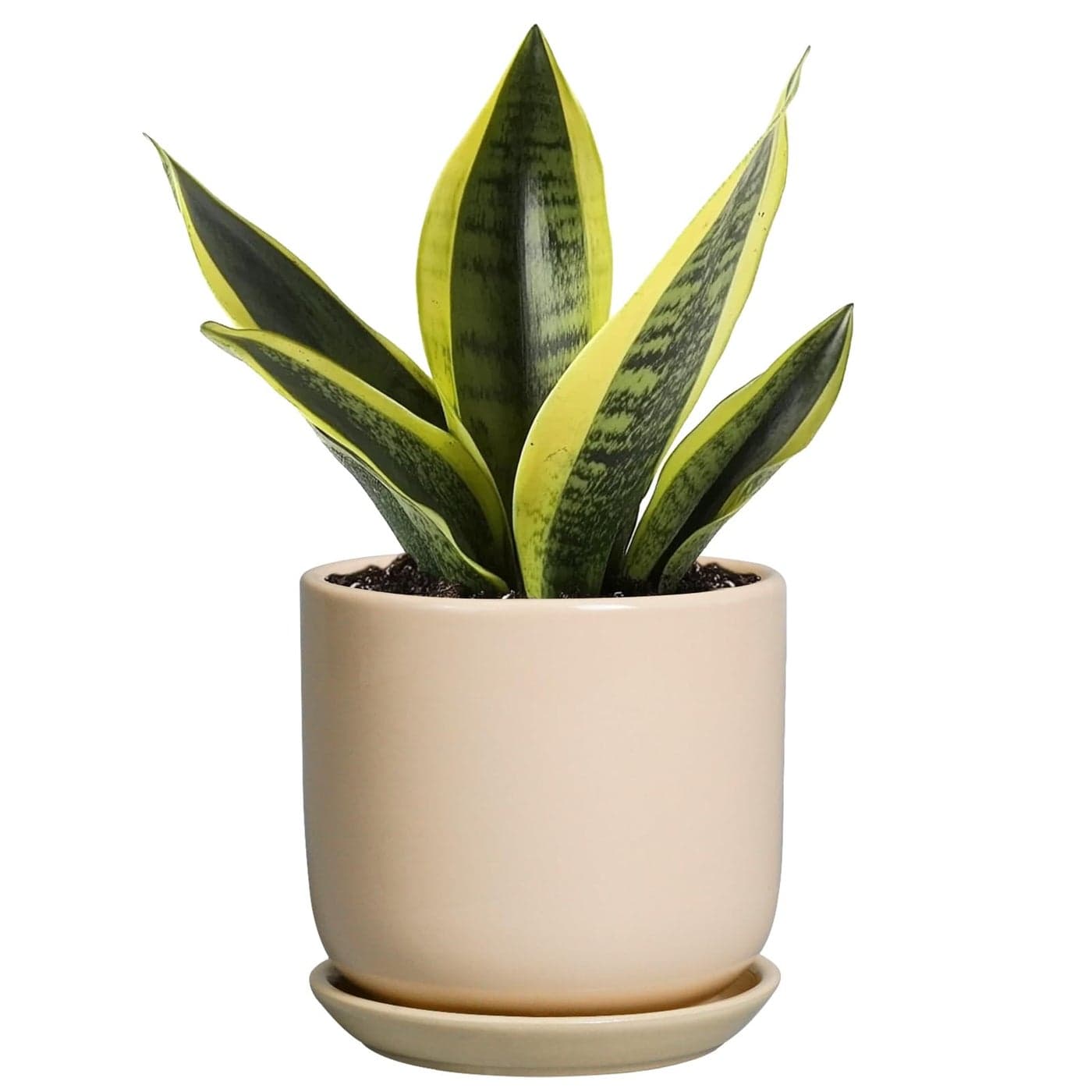SUNPOTFOR Ceramic Flower Pot 5 Inch Round Succulent Planter for Indoor Plants with Drainage Hole and Saucer Patio Room House Office Home Decor Yellow