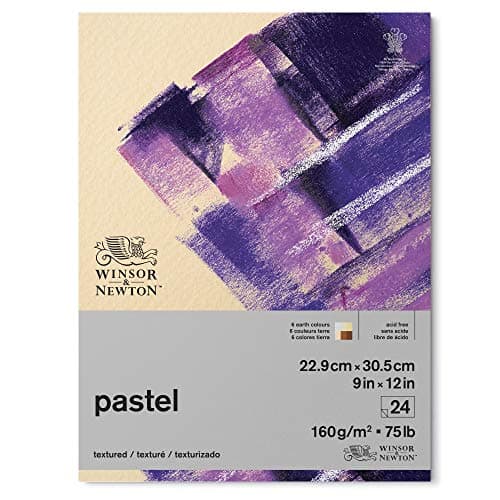 Winsor Newton Professional Pastel Paper Pad 9 x 12 24 sheets 160gsm Earth Colors
