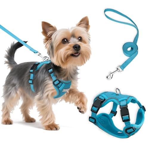 Ychpaw Small Dog Harness and Leash Set, Reflective Soft Breathable Mesh Vest, 3 Buckles, Adjustable Neck and Chest,Step in Dog Harness for Walking, Running, Training, Turquoise, XS