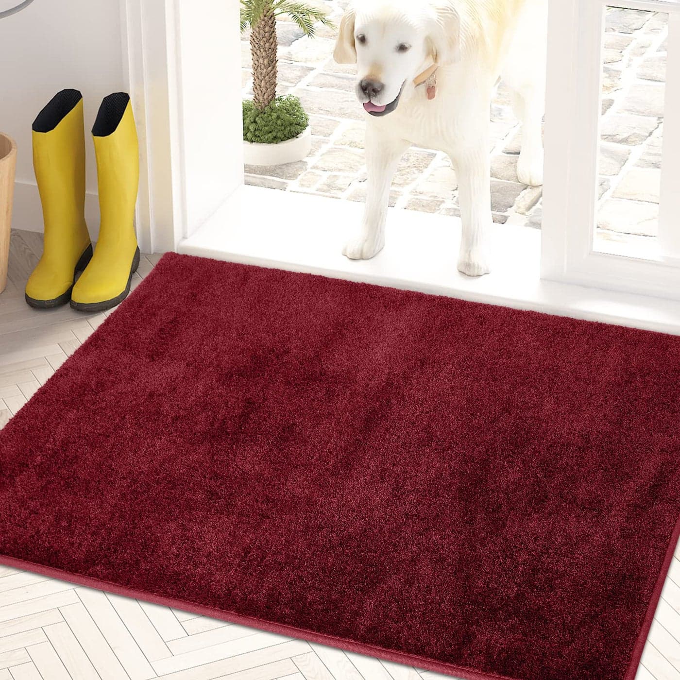 PURRUGS Dirt Trapping Door Mat 24 x 355 NonSlip Machine Washable Entryway Rug Dog Doormat Indoor Front Door Mat Super Absorbent Entry Rug for Muddy Shoes Paws Burgundy Red