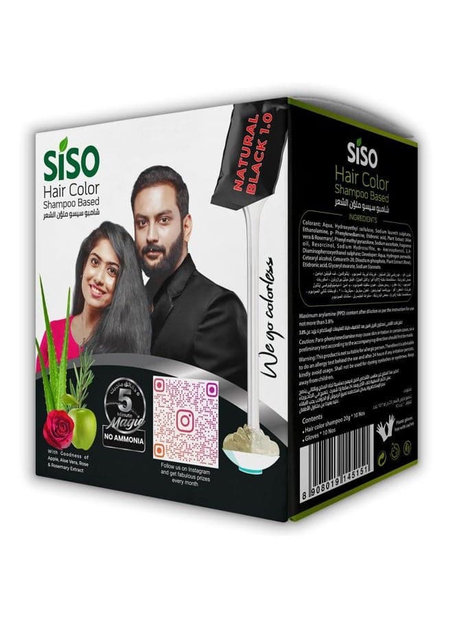 Permanent Hair Color (20g) Pack of 10 - Natural Black, 100% Grey Coverage with Herbal Extracts, 0% Ammonia & Silicone