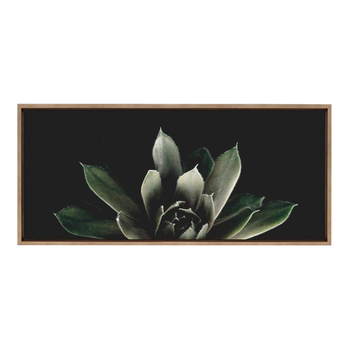 Kate and Laurel Sylvie Succulent 8 Framed Canvas Wall Art by Emiko and Mark Franzen of F2Images 18x40 Gold Decorative Botanical Art for Wall