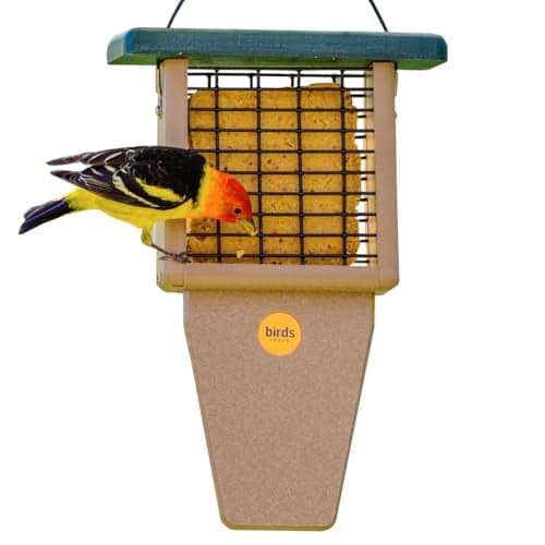 Birds Choice Suet Feeder with Tail Prop, Holds 1 Suet Cake | Hanging Suet Bird Feeder with Roof, Woodpeckers, Jays, Nuthatches | Sturdy for Garden & Backyard | Taupe & Green, 8" L x 3" W x 12" H