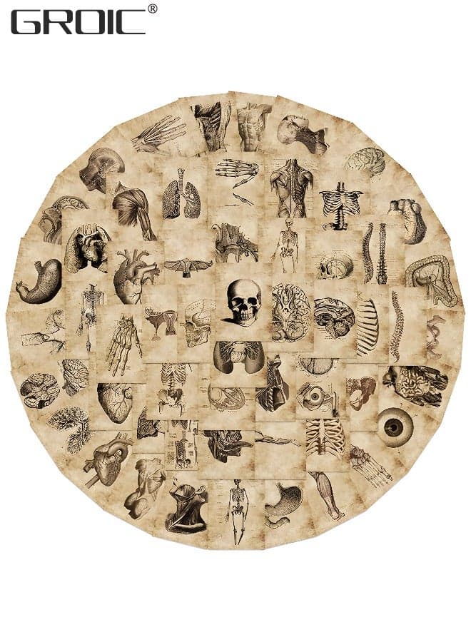 56Pcs Human Body Organ Stickers, Human Skeleton Waterproof Stickers, Waterproof Vinyl Decals Sticker Toys for Bike Water Bottles Laptop Refrigerator Cup Luggage Computer Mobile Phone