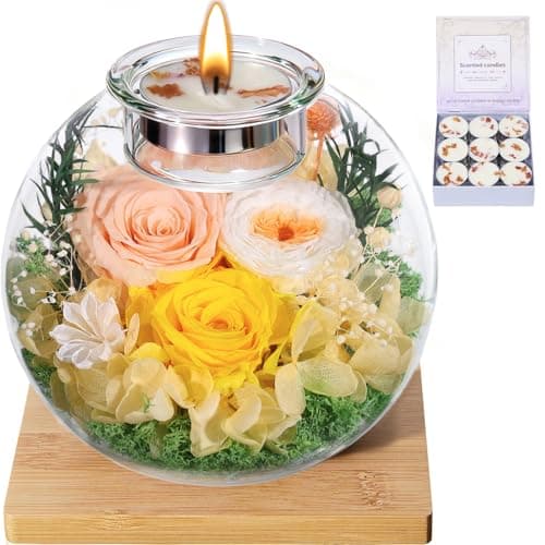 Mothers Day Rose Gifts for Mom Birthday Gift for Women Flowers for Delivery Preserved Flowers Forever Eternal Rose in Glass Dome Mother’s Day Flower Gifts for Wife Grandma Sister Daughter, Champagne