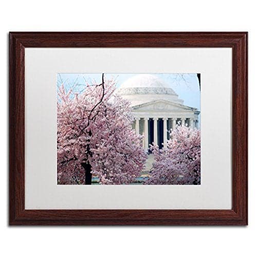 Trademark Fine Art Cherry Blossoms 2014-7 White Matte Artwork by CATeyes, 16 by 20-Inch, Wood Frame