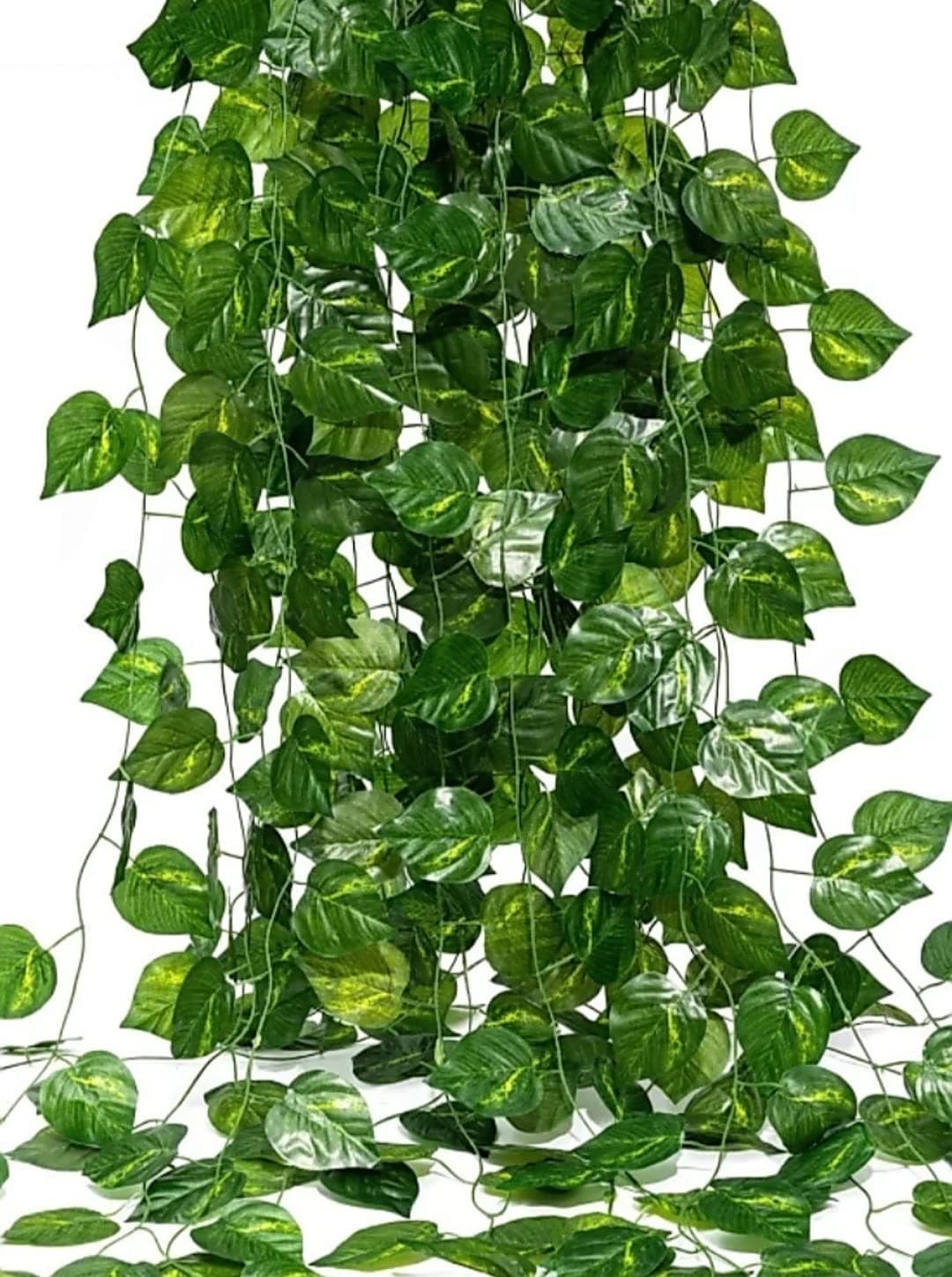 Generic Love Art Artificial Garland Money Creeper Wall Hanging Special Ocassion Decoration Office Festival Theme Decorative Length 8 Feet Pack Of 2 Strings Artificial Plant Green Wild