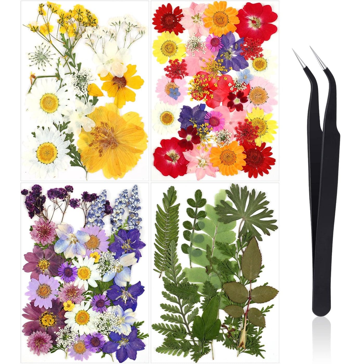 Nuanchu Pressed Flowers Bulk Dried Flower for Crafts Dried Wildflowers Leave Natural with Tweezer for Resin Mold Scrapbooking Nail Soap Making DIYClassic StyleBright Colors