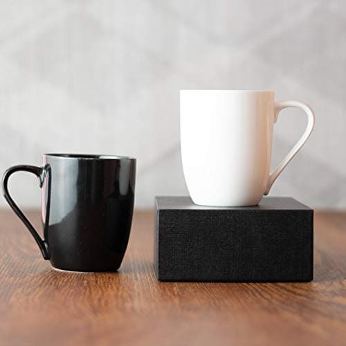 SkyKey Bone China Plane Tea Cup Coffee Mug Capacity 300 ML ColorBlack White Set of 2