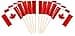 JAVD CYPS 100 Pcs Canada Flag Canadian Toothpick Flags Small Mini Stick Cupcake Toppers Canadian FlagsCountry Picks Party Decoration Celebration Cocktail Food Bar Cake Flags
