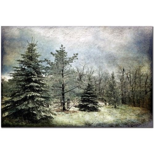 Trademark Fine Art Frosty Canvas Art by Lois Bryan, 14 by 19-Inch