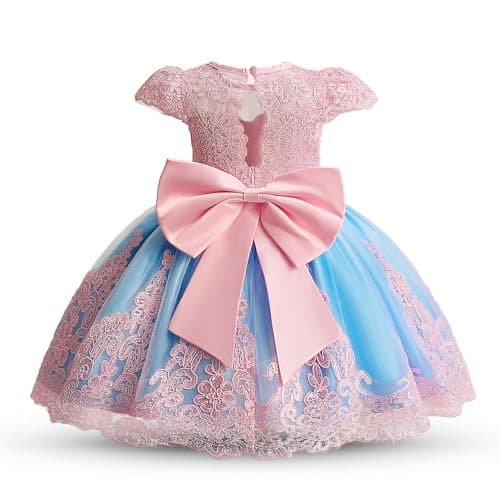 HNXDYY Toddler Girls Dresses Baby Girl Tutu Dress Embroidery Princess Birthday Wedding Tutu Gown #2025-C Pink-Blue 6-12 Months
