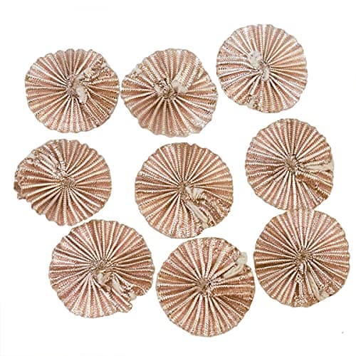 Embroiderymaterial 3CM Gota Patti Flowers Appliques Patches for Embroidery Decoration and Craft Making (Rose Gold) 100 Pieces