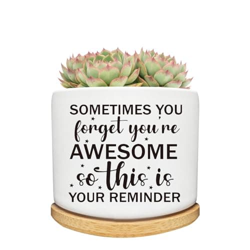 Arosedmo Succulent Cactus Cute Planter Pots with Bamboo Tray, Office Kitchen Home Windowsill Indoor Decor, Gift for Friends Mom Women Coworkers Teachers Plant Lovers