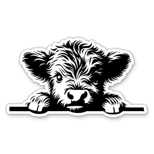 Highland Cow Peeking Sticker for Water Bottle Phone Car Tumbler Laptop Cute Cow Decal Waterproof Vinyl 3