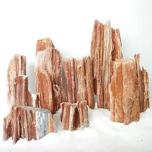 RUKDA Redwood Petrified Stone for Aquarium & Garden Decor – Aquascaping Rocks for Fish Tanks, Terrariums, Landscaping & Water Features – Unique Miniature Rock Formation Look (Redwood Rock, 1 Kg)