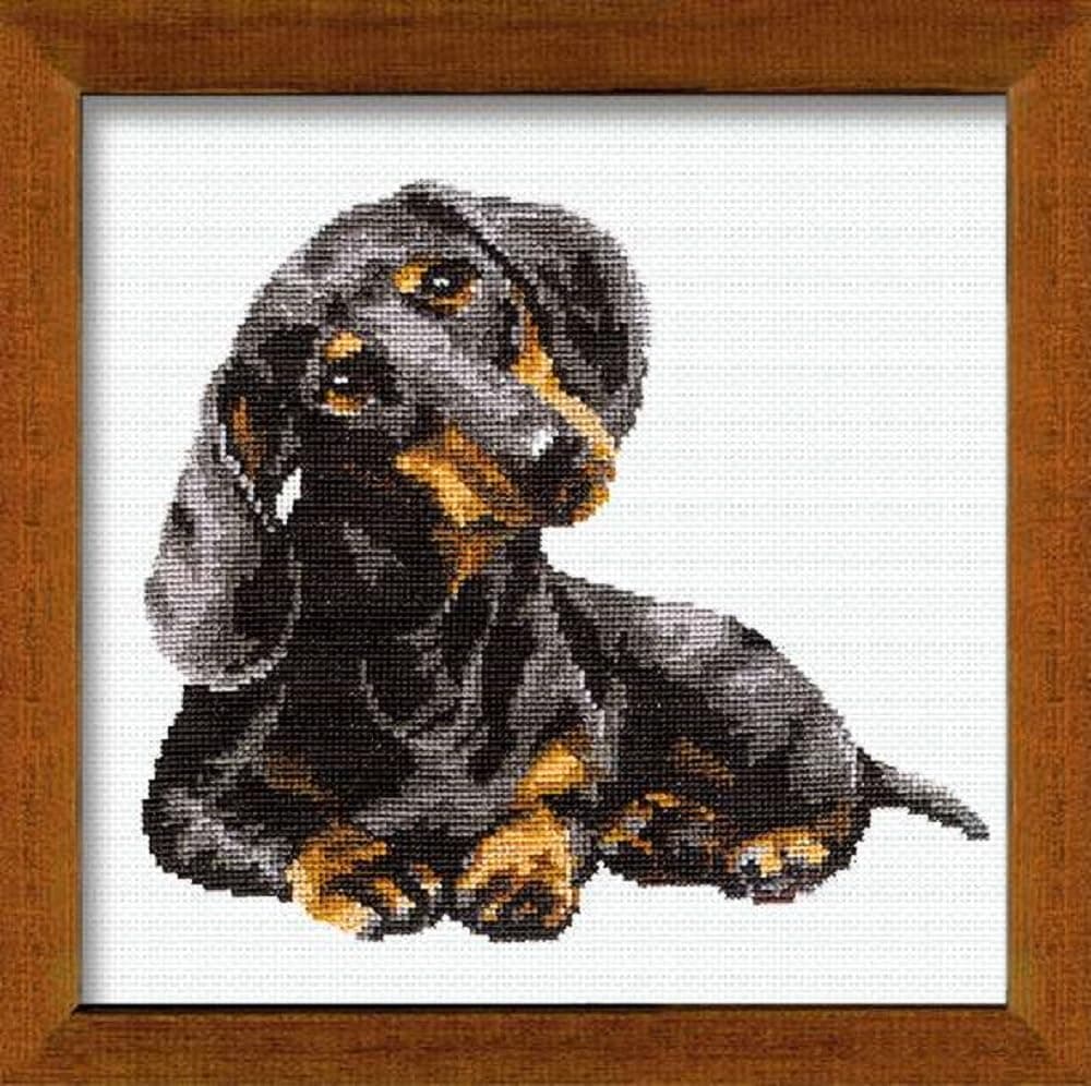 RIOLIS Cross Stitch Kit 906 Dachshund