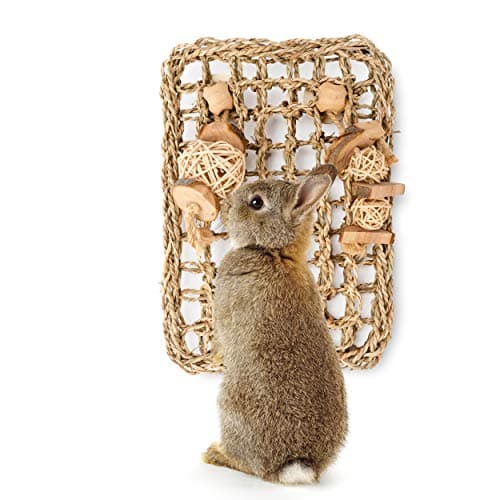 andwe Seagrass Protector Mat with Toys for Rabbit Bunny Chinchilla Guinea Pigs or Other Rodent Pets 11 X 787inch