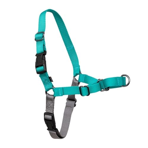 PetSafe Easy Walk No-Pull Dog Harness - Ultimate Harness to Help Stop Pulling - Pull-Free Walks - Take Control & Teach Better Leash Manners - Patented Martingale Loop Design - Teal, Medium