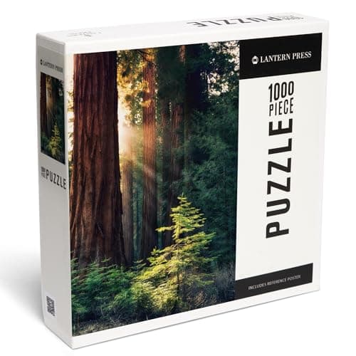 Lantern Press Redwood National Park California Sunlit Trees 1000 Piece Jigsaw Puzzle for Adults Made in USA with Reference Poster