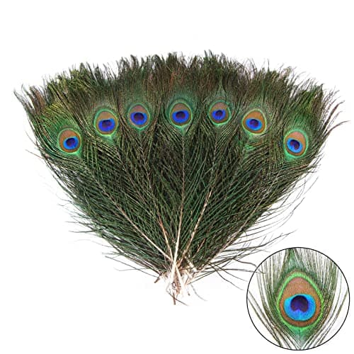 THARAHT 12pcs Peacock Feather Natural in Bulk 1012 inch 2530cm Small EyeFor Craft Vase Wedding Home Party Christmas Day Decoration Peacock Feathers