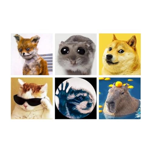 LuwoArte Painting Kit Japanese Theme Meme Animals