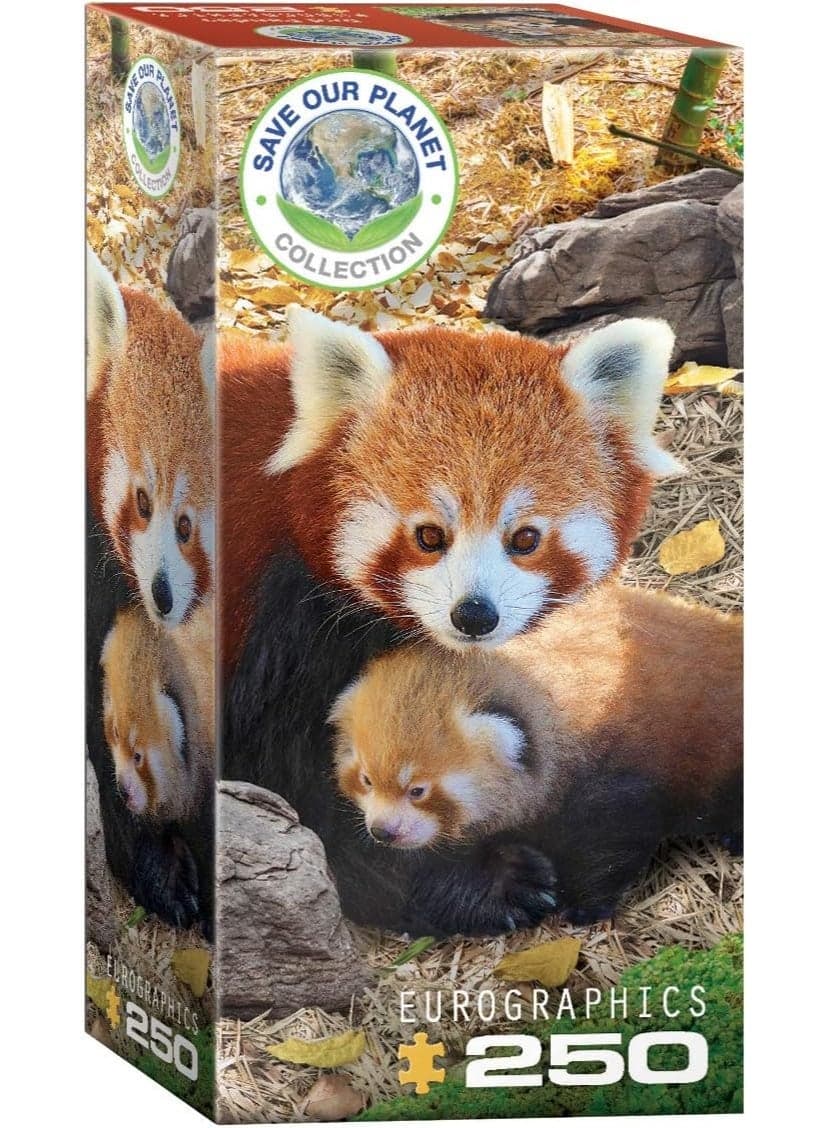 Eurographics Puzzle 250-Pcs Red Pandas 8251-5557