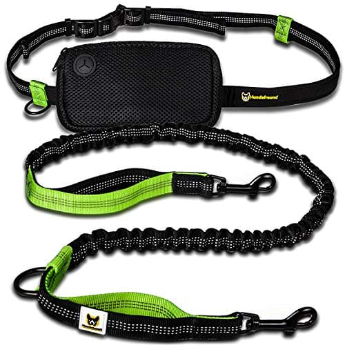 Hundefreund Hands-Free Dog Leash for Small Dogs 10 to 30 lbs - Lightweight Waist Leash with Bungee (43–63"), Padded Belt (26–47") & Pouch – Dual Handles, Reflective Stitching for Walking & Jogging