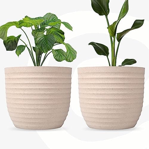 Eha Set of 2 Earth-Friendly 5" Verona Pots and Planters | Bamboo Based Table Planter for Office | UV Protected |Plant Pots for Indoor & Home Décor, Balcony & Garden | Sand Castle