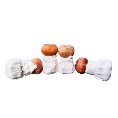PRAGANIYA Oil Spreader for Dosa Tawa and Fry Pan, Cotton Oil Dispenser Brush Pack of 4
