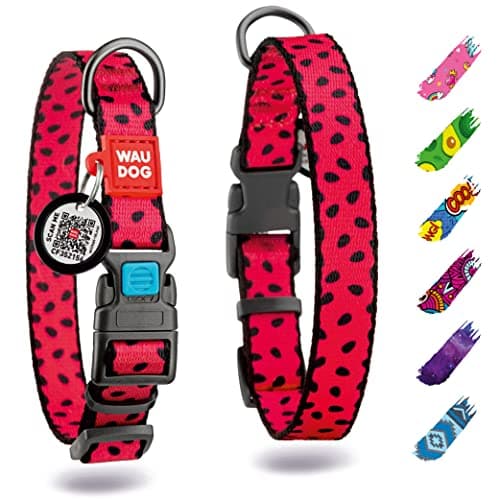 WAUDOG Nylon Dog Collar - Adjustable Dog Collar for Large Dogs, Small & Medium Dogs - Puppy Collars for Large Breed Dogs - Boy & Girl Dog Collars with Durable Plastic Buckle and QR Dog Tag