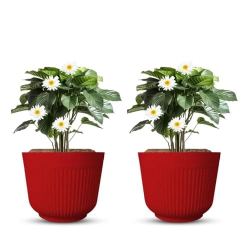 IMAGINEA Pack of 2 | 12Inch Plastic Flower Pots for Indoor & Outdoor Terrace, Garden Plants Decorative Planters Big Size Planters Durable & Lightweight (Red)