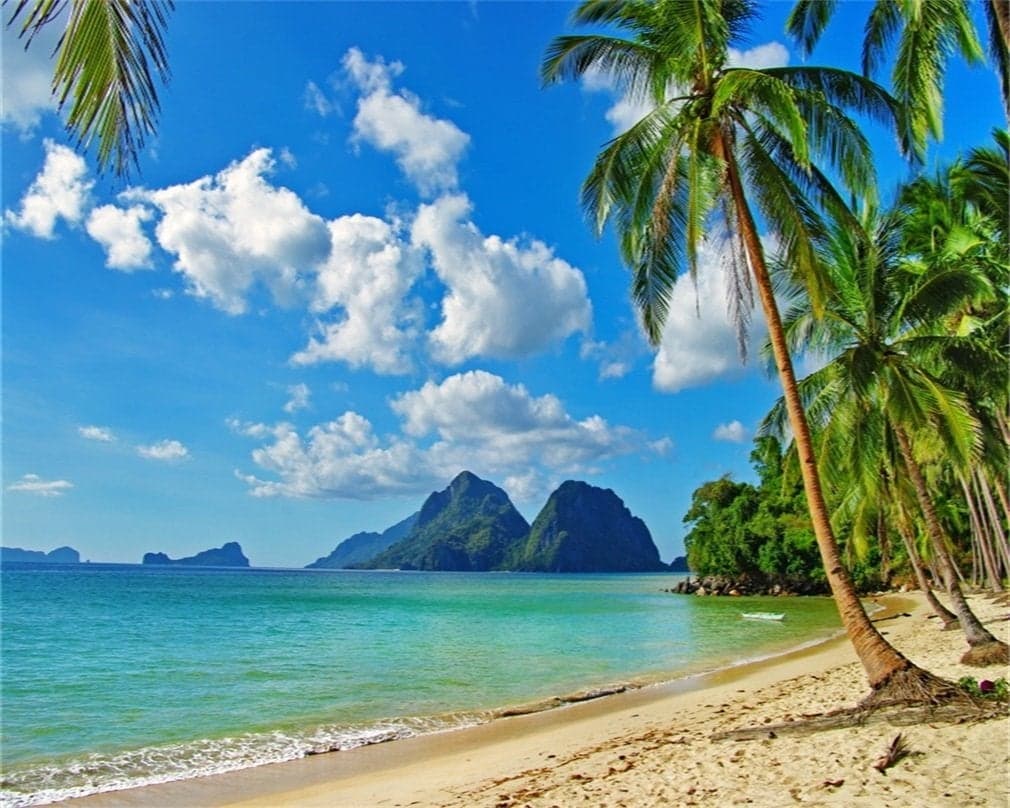AOFOTO 10x8ft Beach Backdrop Summer Party Tropical Sand Beach Scene Photo Backdrop Hawaii Luau Blue Sky Ocean Palm Tree Seaside Vacation Photography Background Portrait Photoshoot Video Studio Props