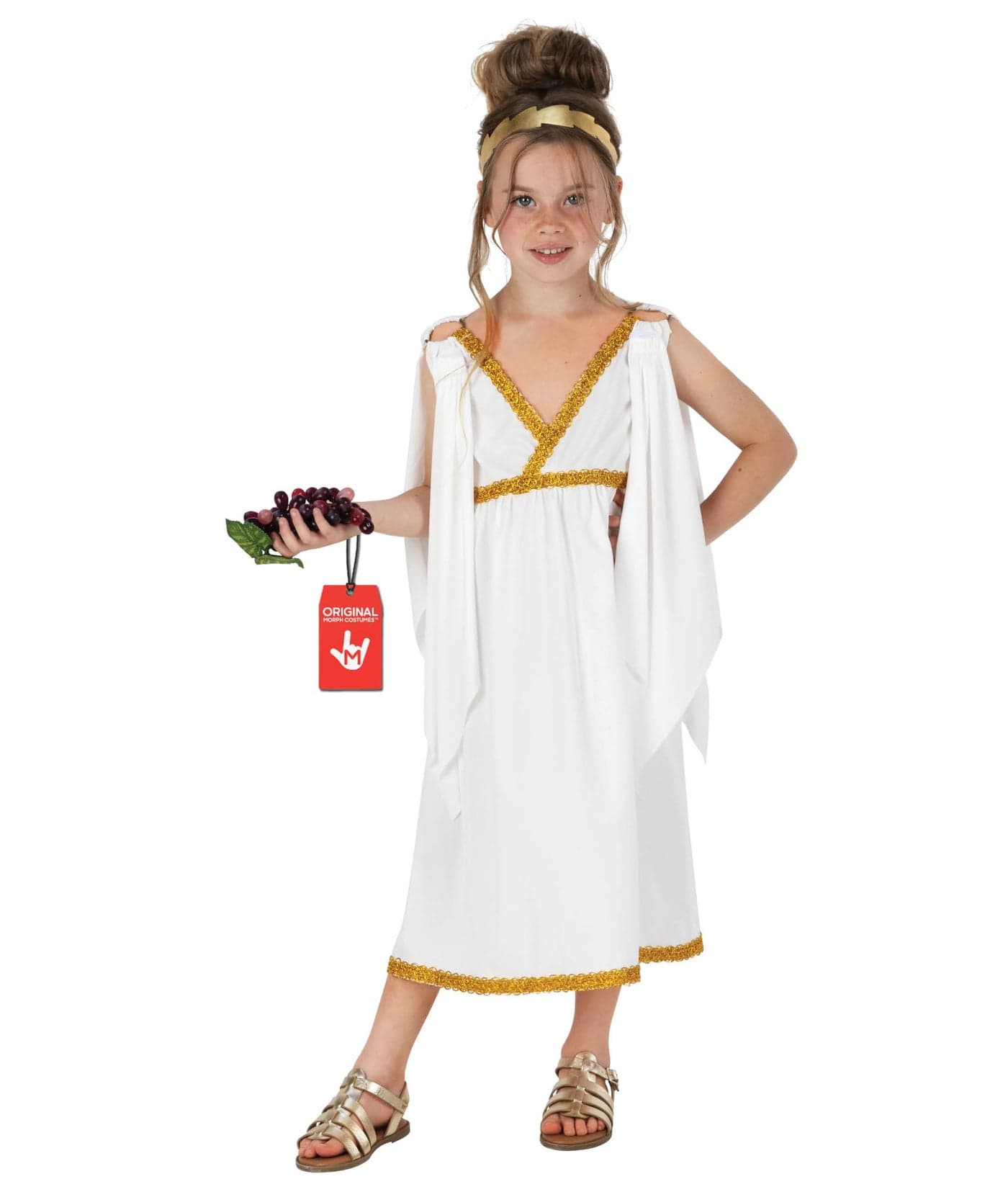 fun shack Kids Greek Goddess Costume, Toga Dress for Girls, Athena Inspired Outfit, Perfect for Dress Up and Parties, X-Large