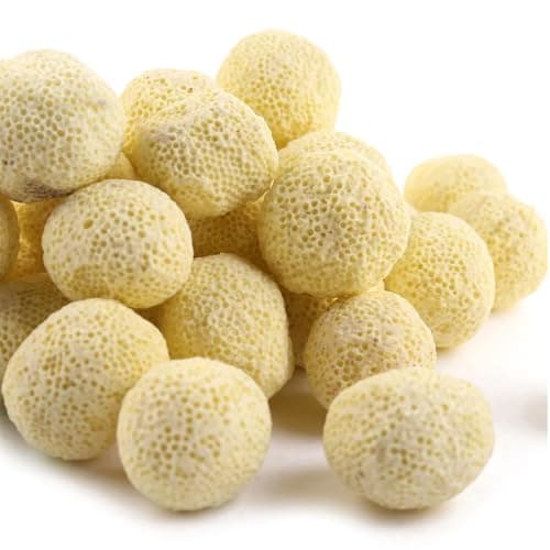 Venus Aqua Hollow Bio-Ceramic Filter Balls | 36 PCS Biological Aquarium Filter Media | Enhances Beneficial Bacteria Growth & Water Quality for Freshwater & Marine Tanks