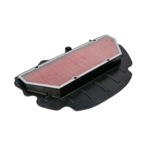 Hiflofiltro HFA1918 Premium OE Replacement Air Filter, Black