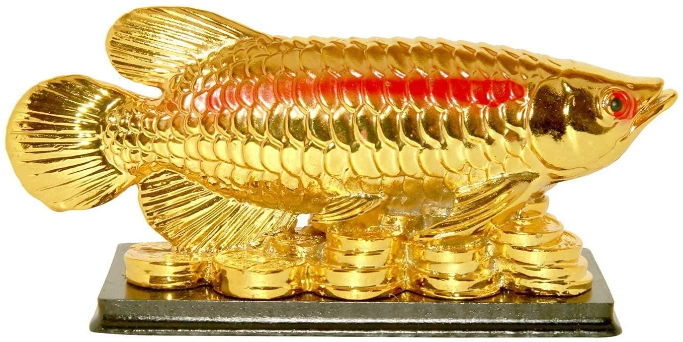 RIPE INDIA® Fengshui Arowana Fish for Abundant Wealth & Good Luck Showpiece