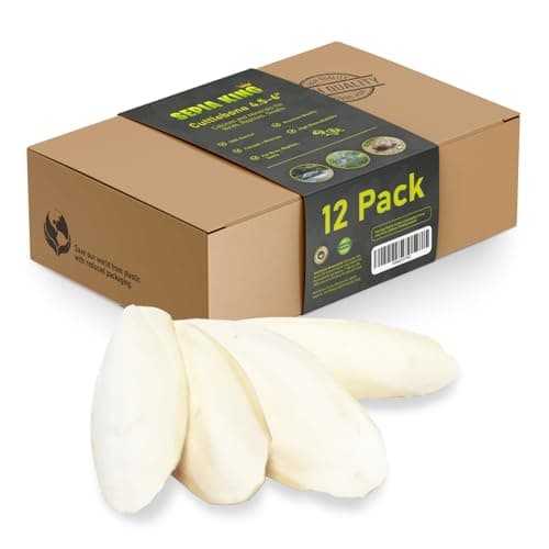 Sepia King Medium 100 Natural Calcium Supplement Premium Cuttlebone Perfect for Birds Tortoises Snails Reptiles 12 Pack