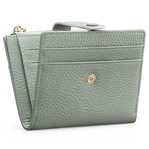 FALAN MULE Small Wallets for Women RFID Blocking Slim Bifold Leather Womens Wallet with Zipper Coin Purse