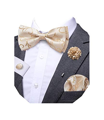 Dubulle Beige Champagne Bowtie for Men Paisley Floral Mens Pretied Bowtie Lapel Pin Set Pocket Square Cufflinks Wedding