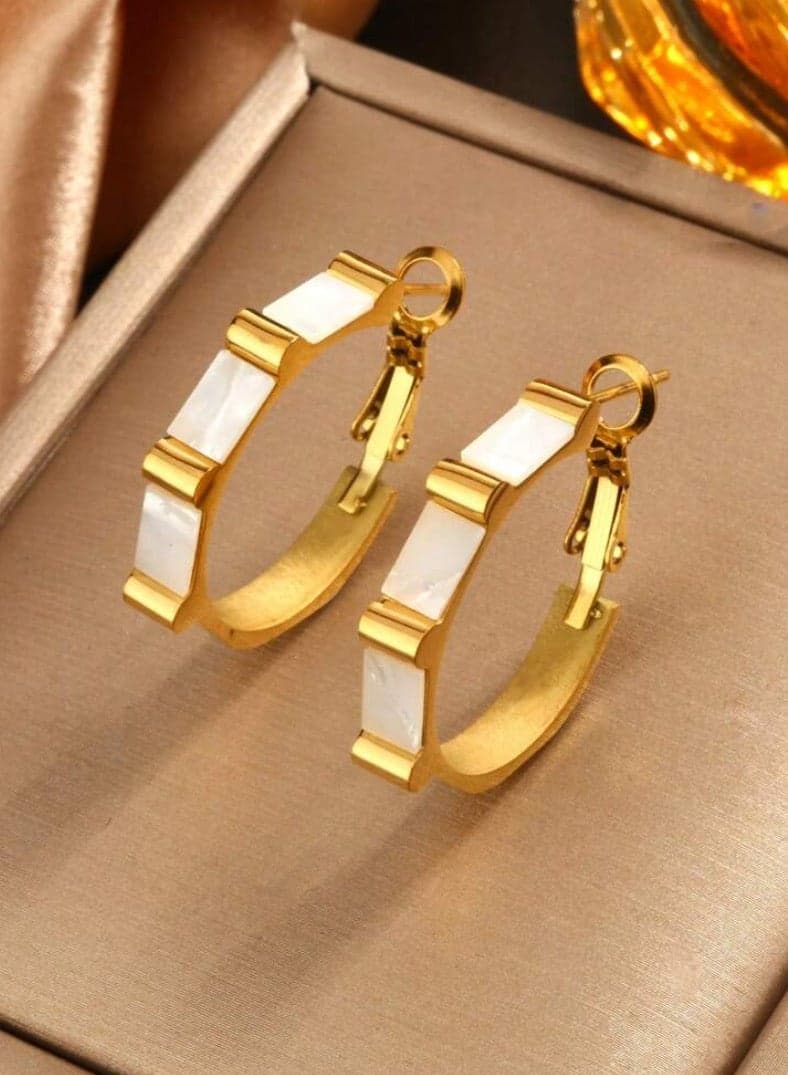 Elegant Trendy Stainless Steel Earrings For Women