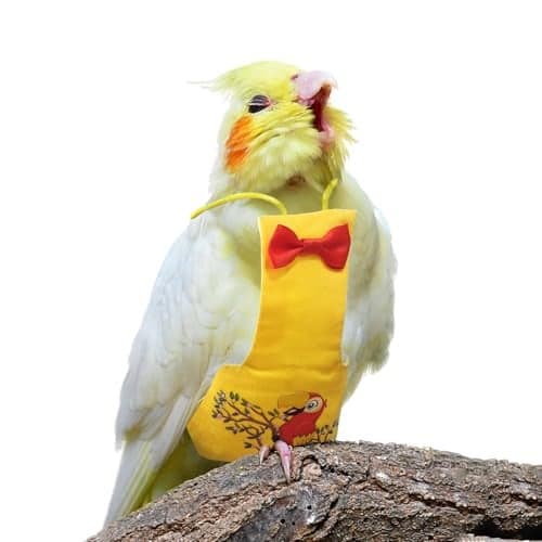 XQIGI Bird Diaper Reusable Birds Flight Suit Nappies Protective Breathable Washable Parrot Diapers Nappy Clothes for Parakeet Parrot Budgie Canary Budgie Cockatiel(Yellow, Medium)