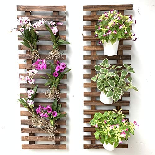 ShopLaLa Wall Planter – Hanging Planter for Indoor Plants, Plant Stand, Air Plant Succulent Holder, Vertical Garden. Large Wall Decor for Living Room, Room Decor for Teens