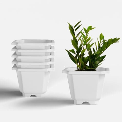 YUCCABE ITALIA SHERA Octa Square Imported Plastic Flower Pot with Drainage Holes Round Planter Pot Suitable for Indoor Outdoor Kitchen Garden (Green, 6 INCH - 6 Pcs)